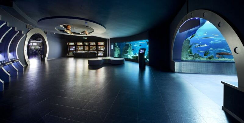istanbul-aquarium-and-aqua-florya-shopping-mall-tour