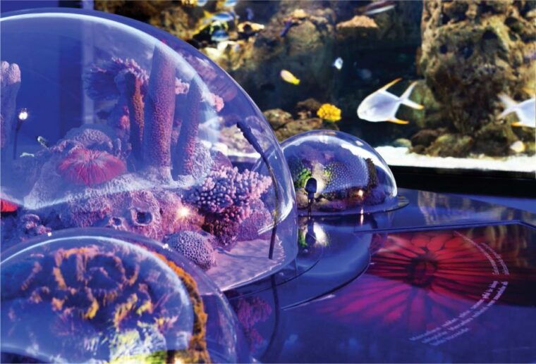 istanbul-aquarium-and-aqua-florya-shopping-mall-tour