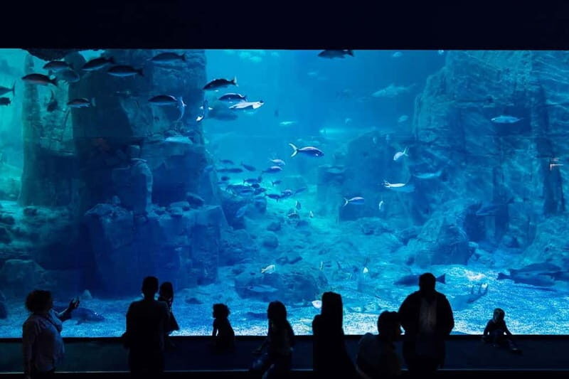 Istanbul: Aquarium Ticket with Shuttle Bus from Sultanahmet - Exploring the Istanbul Aquarium: A Practical Review