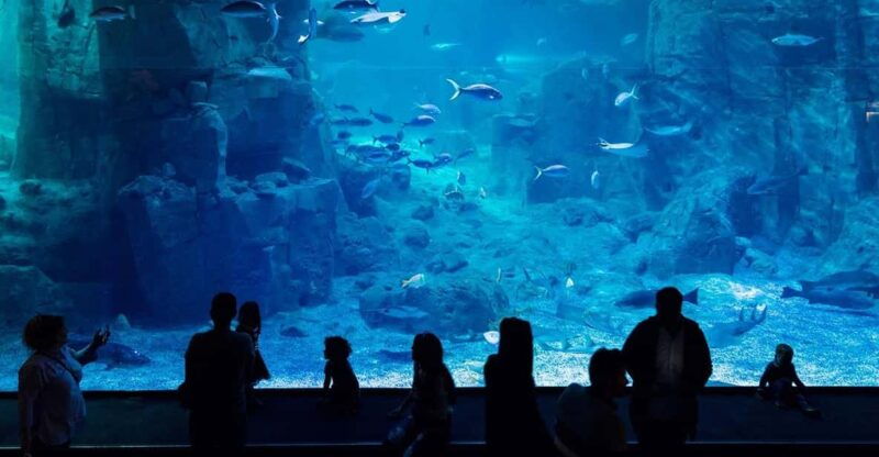 istanbul-aquarium-ticket-with-shuttle-bus-from-sultanahmet