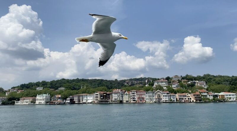 istanbul-asian-european-side-food-tour