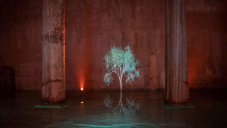 istanbul-basilica-cistern-skip-the-ticket-line-guided-tour