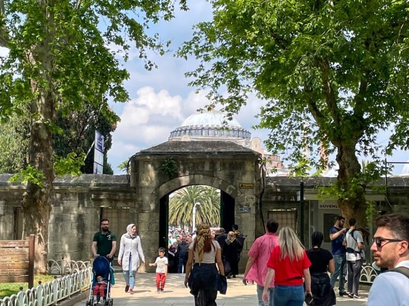 Istanbul: Basilica, Hagia Sophia, Blue Mosque Tour & Cruise - The Sum Up