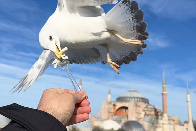 istanbul-best-iconic-landmarks-fullday-private-guided-city-tour
