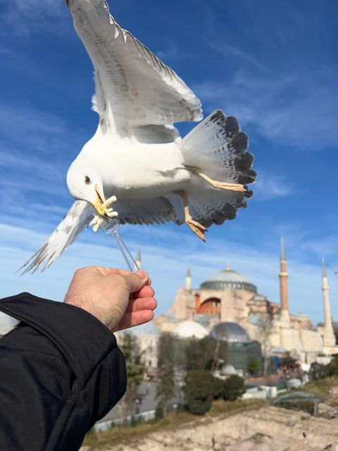 istanbul-best-of-the-city-full-day-tour-with-transfers-2