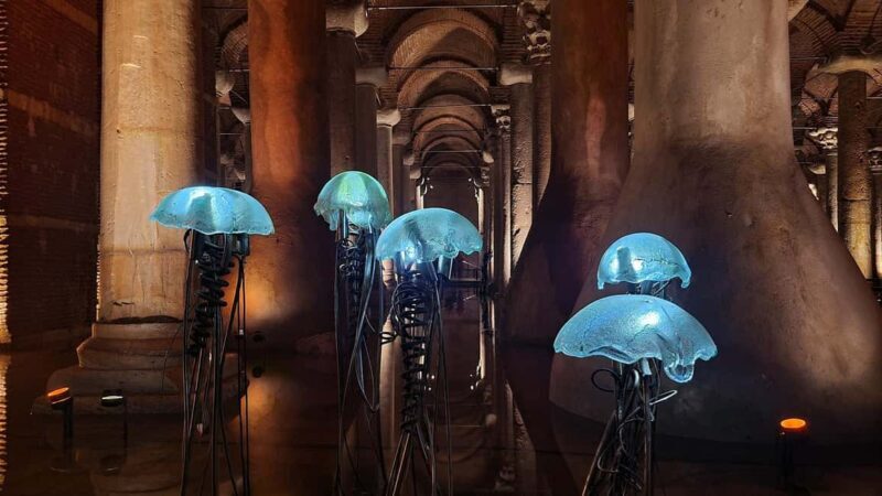 Istanbul: Blue Mosque, Hagia Sophia & Basilica Cistern Tour - Final Thoughts: Who Will Love This Tour?