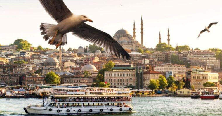 istanbul-bosphorus-and-golden-horn-morning-or-sunset-cruise
