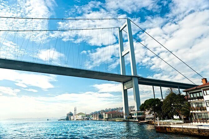 Istanbul Bosphorus Cruise Dinner, Drinks & Show with Pickup - Who Is This Tour Best For?