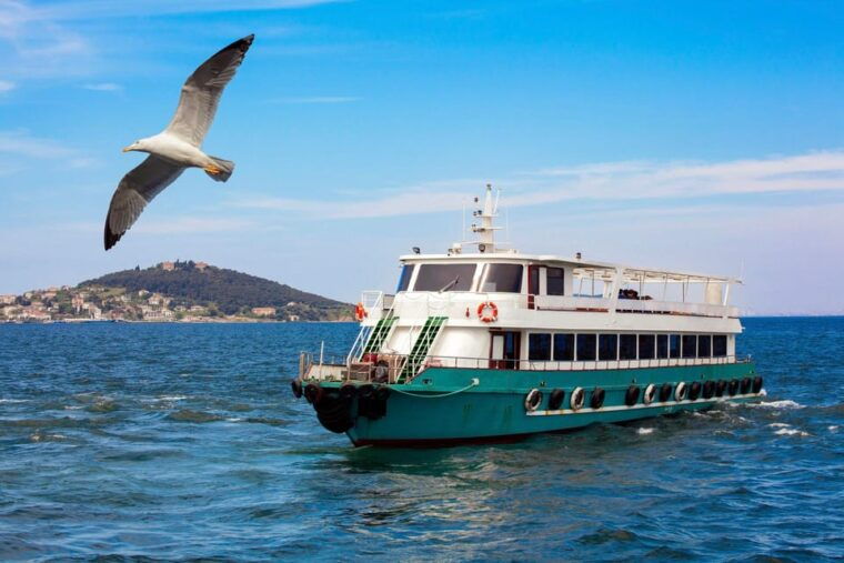 istanbul-bosphorus-strait-sightseeing-cruise-w-audio-guide