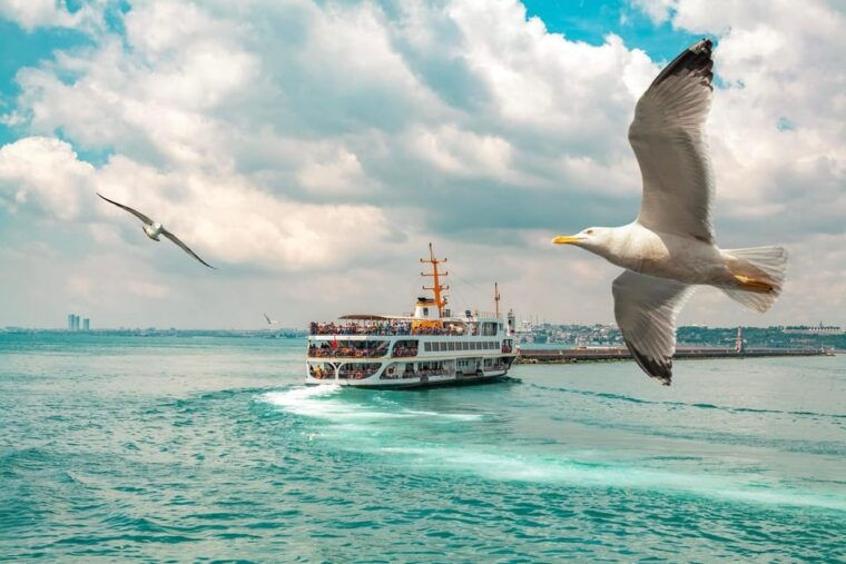 istanbul-bosphorus-strait-sightseeing-cruise-w-audio-guide