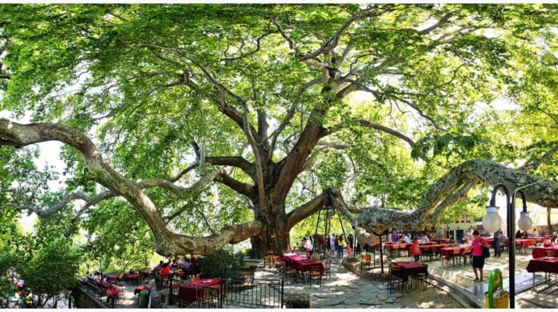 istanbul-bursa-and-uludag-mountain-day-trip-with-cable-car