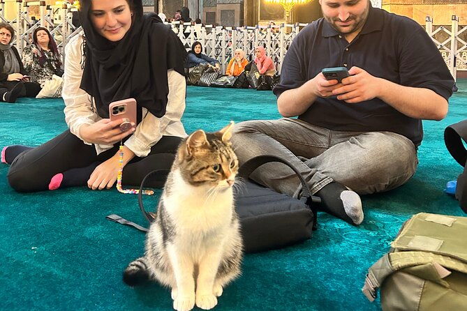 istanbul-city-tour-w-fast-track-basilica-cistern-w-small-group-2