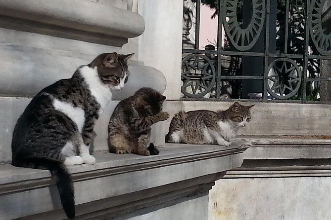 istanbul-delights-a-journey-through-flavor-and-history