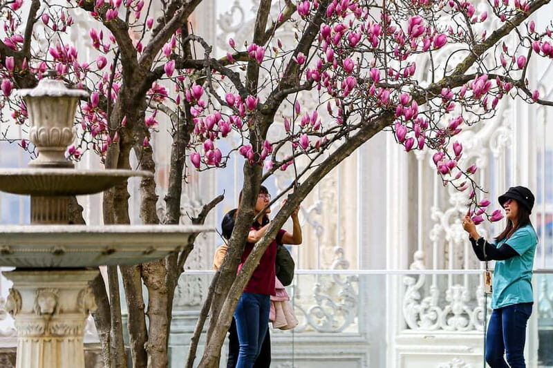 Istanbul: Dolmabahce Palace and Harem Fast-Track & Audio - Frequently Asked Questions