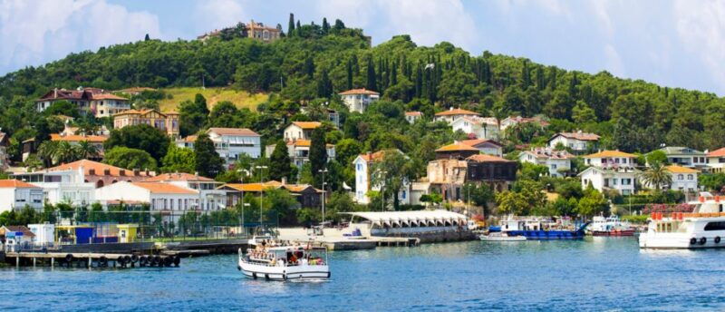 istanbul-full-day-princes-islands-guided-tour-with-lunch