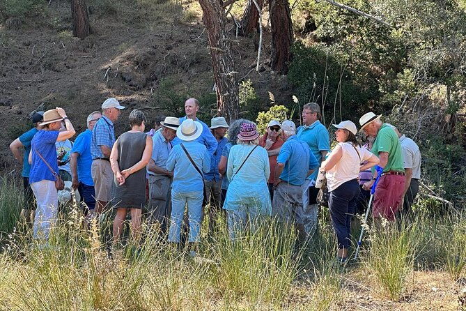 istanbul-gallipoli-experienced-daily-tour