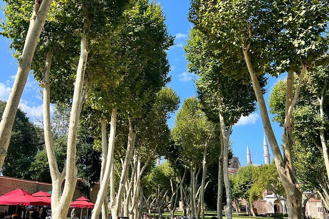 istanbul-historical-wonders-fullday-private-guided-city-tour