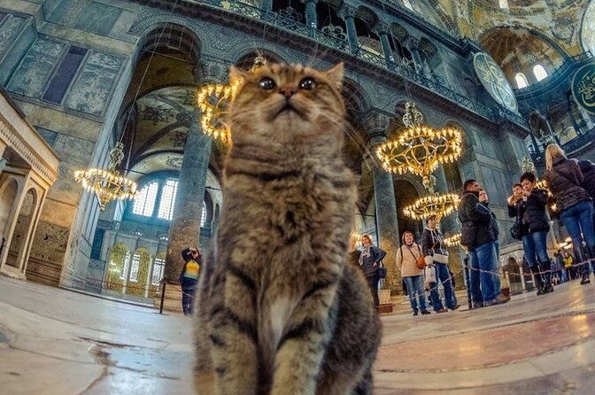 istanbul-old-city-tour-8