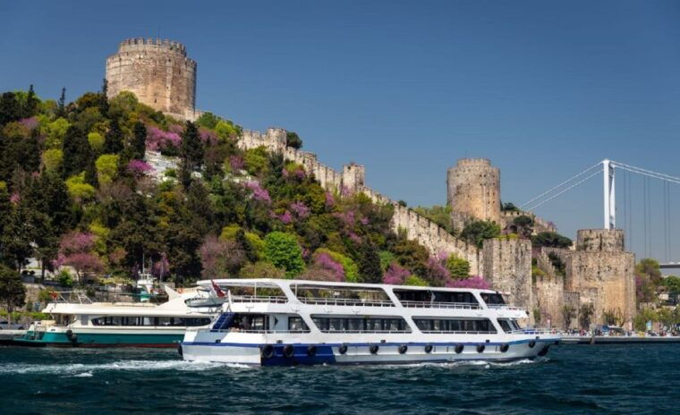 istanbul-old-town-tour-and-bosphorus-lunch-cruise