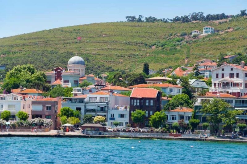 Istanbul: Princes Island Guided Two-Way Trip by Private Boat - An Overview of the Experience