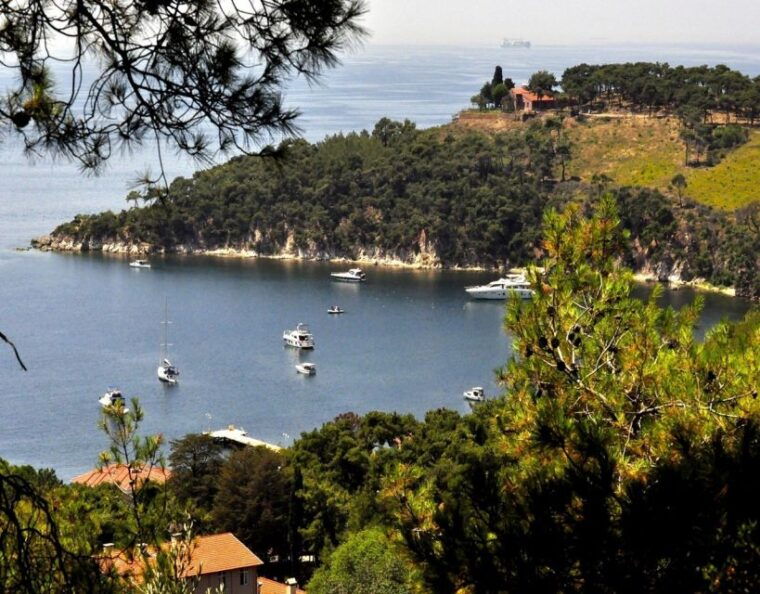 istanbul-princes-islands-tour-with-lunch-and-transfers