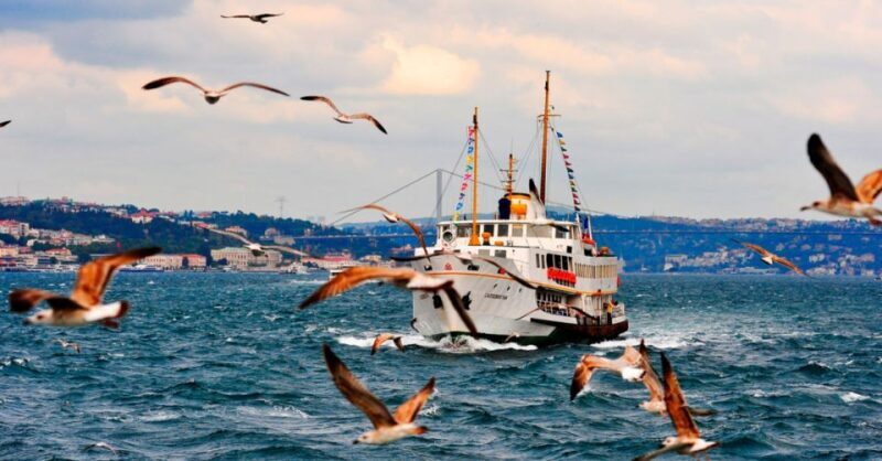 Istanbul: Private Bosphorus Cruise By Luxury Yacht - A Detailed Look at the Experience