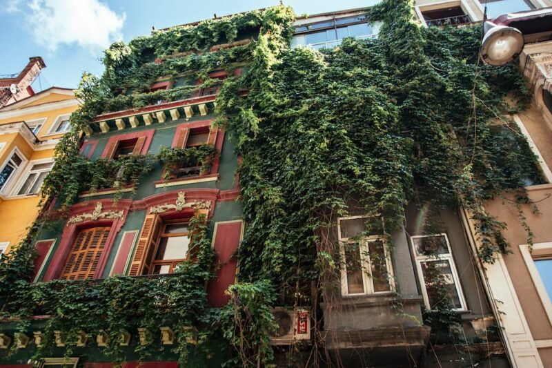 istanbul-private-guided-food-tour-with-10-tastings