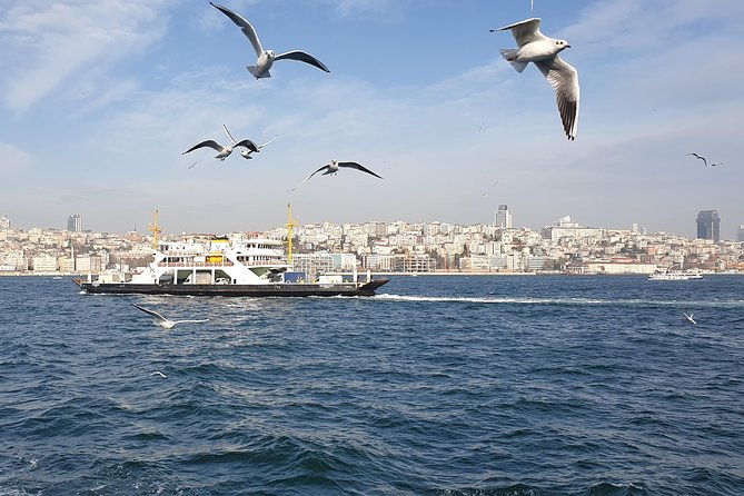 istanbul-private-guided-tour-for-layover-flight-transfer-incl
