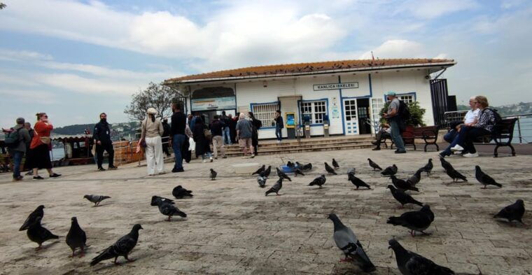 istanbul-revealed-historic-pathways-and-bosphorus-serenity