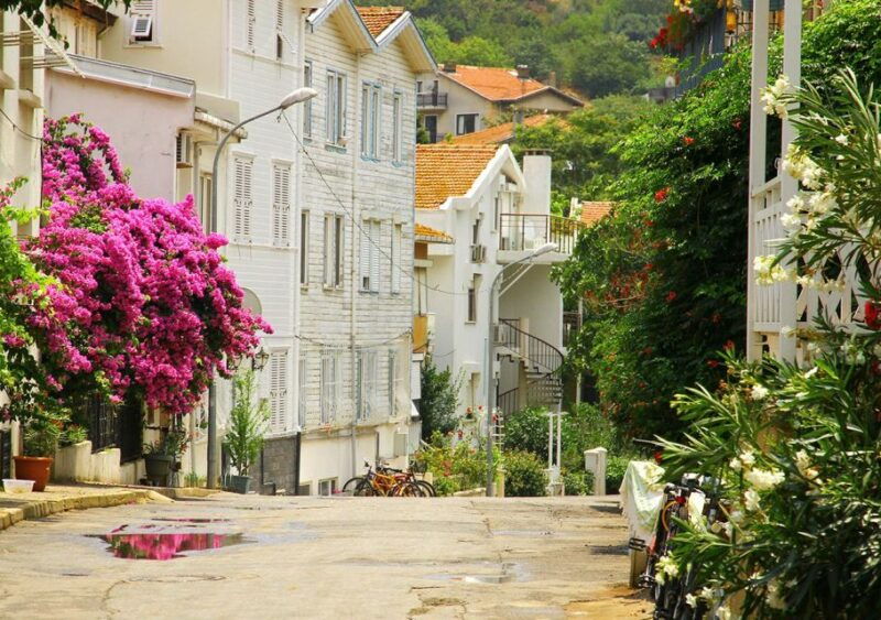 istanbul-round-trip-ferry-tickets-to-the-princes-islands