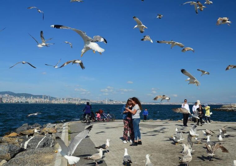 istanbul-round-trip-ferry-tickets-to-the-princes-islands