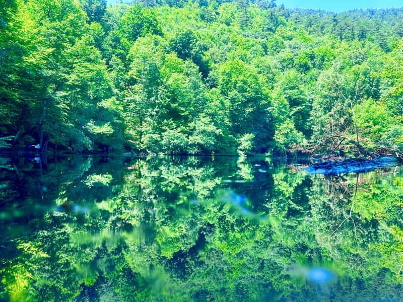 Istanbul: Sapanca, Bolu, Safranbolu and Amasra guided tour - Key Points