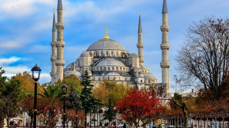 Istanbul: Short Guided Walking Tour of Old City Istanbul - Who is This Tour Best Suited For?
