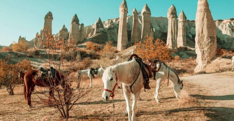istanbul-to-cappadocia-all-inclusive-private-day-tour