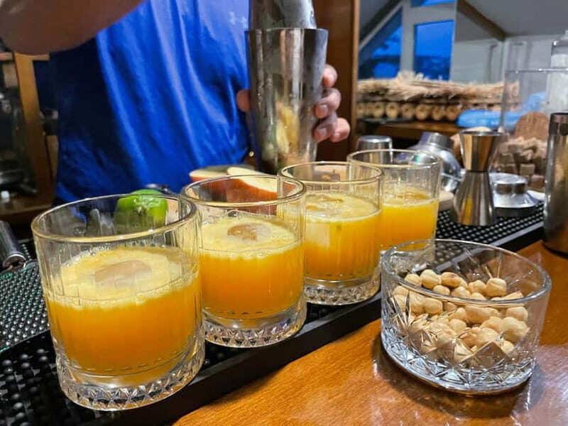Istanbul: Turkish Cocktail Workshop with Locals at Home Bar - A Closer Look at the Experience