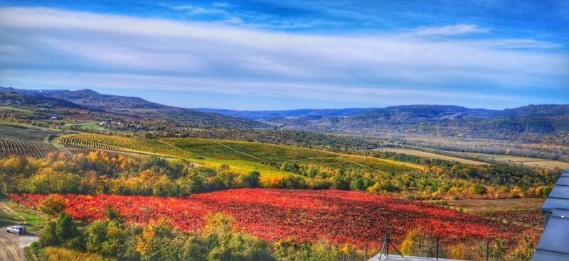 istria-day-tour-from-zagreb