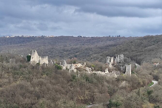 istria-exclusive-lim-bay-and-dvigrad-ruins-photo-tour