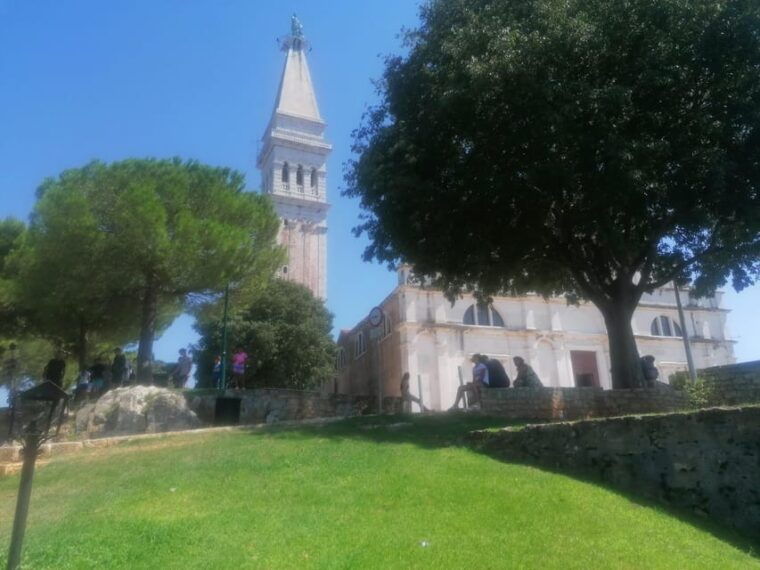 istria-in-one-day-private-tour-with-wine-oil-tasting