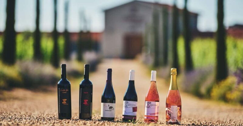 istria-pervino-wine-tasting