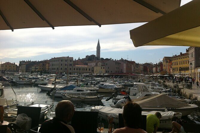 Istria Private Day Trip - Who Will Benefit Most from This Tour?