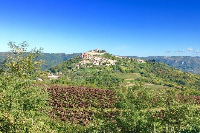 Istrian hill top cities tour with truffle and olive oil tasting - An In-Depth Look at the Tour Experience