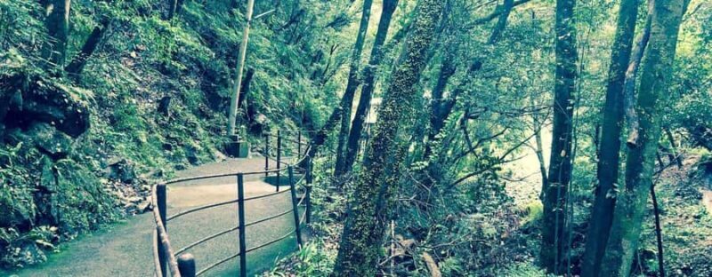 ita: Lantern-Lit Towns and Christmas Lights Tour - Transportation and Logistics