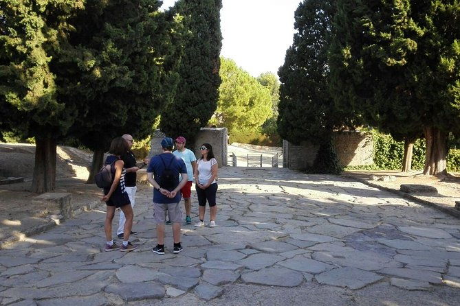 italica-2-hour-private-guided-tour