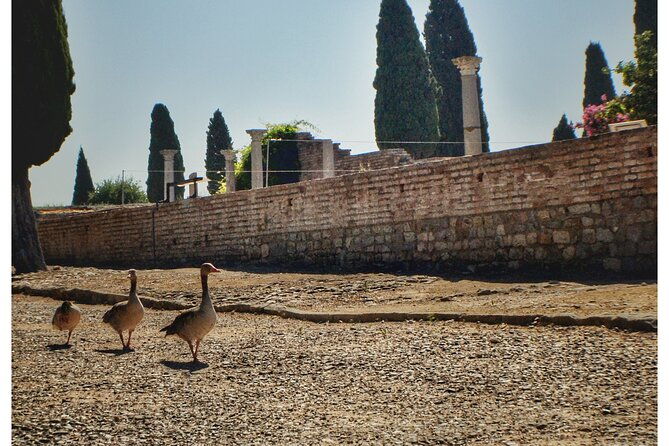 italica-2-hour-private-guided-tour