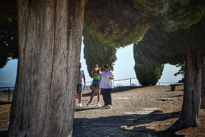 italica-2-hour-private-guided-tour