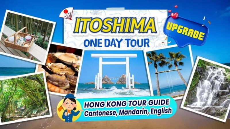 Itoshima Scenic TourTotoro Forest, Falls & Ocean View Spots - An In-Depth Look at the Itoshima Scenic Tour