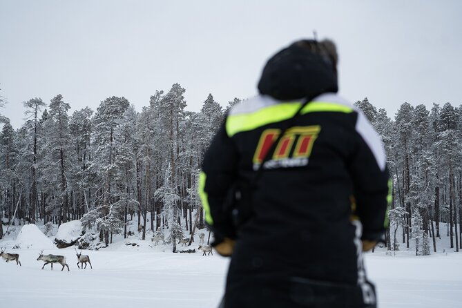 ivalo-a-day-in-the-life-of-reindeer-herders