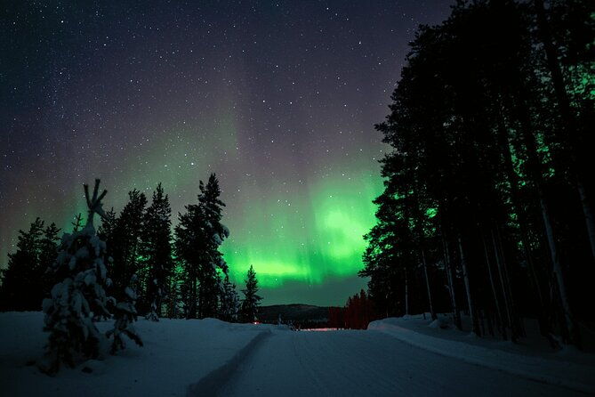 ivalo-aurora-hunting-with-reindeer