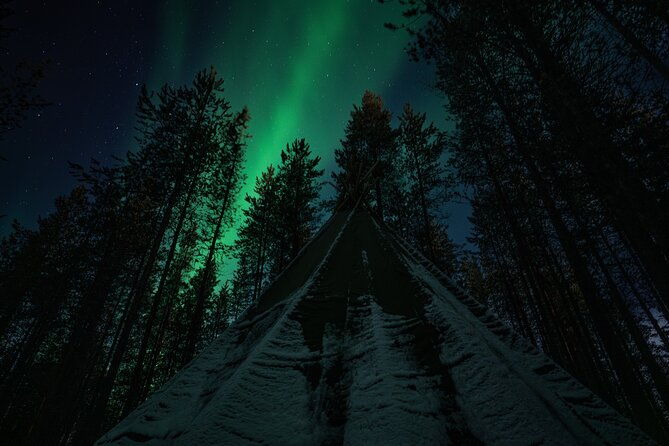 ivalo-aurora-hunting-with-reindeer