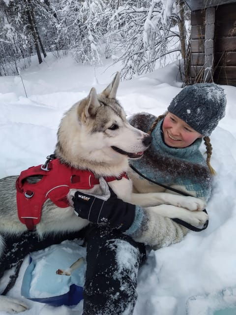 ivalo-experience-farm-visit-with-husky-activity-options